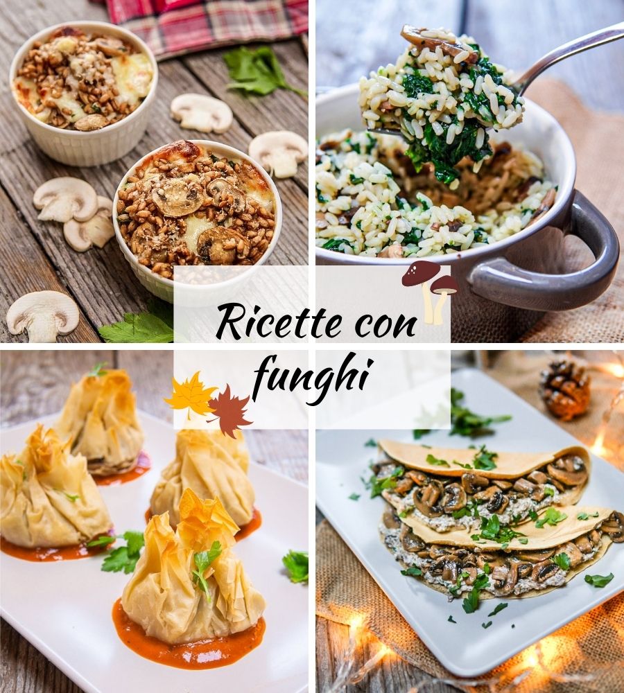 ricette con funghi