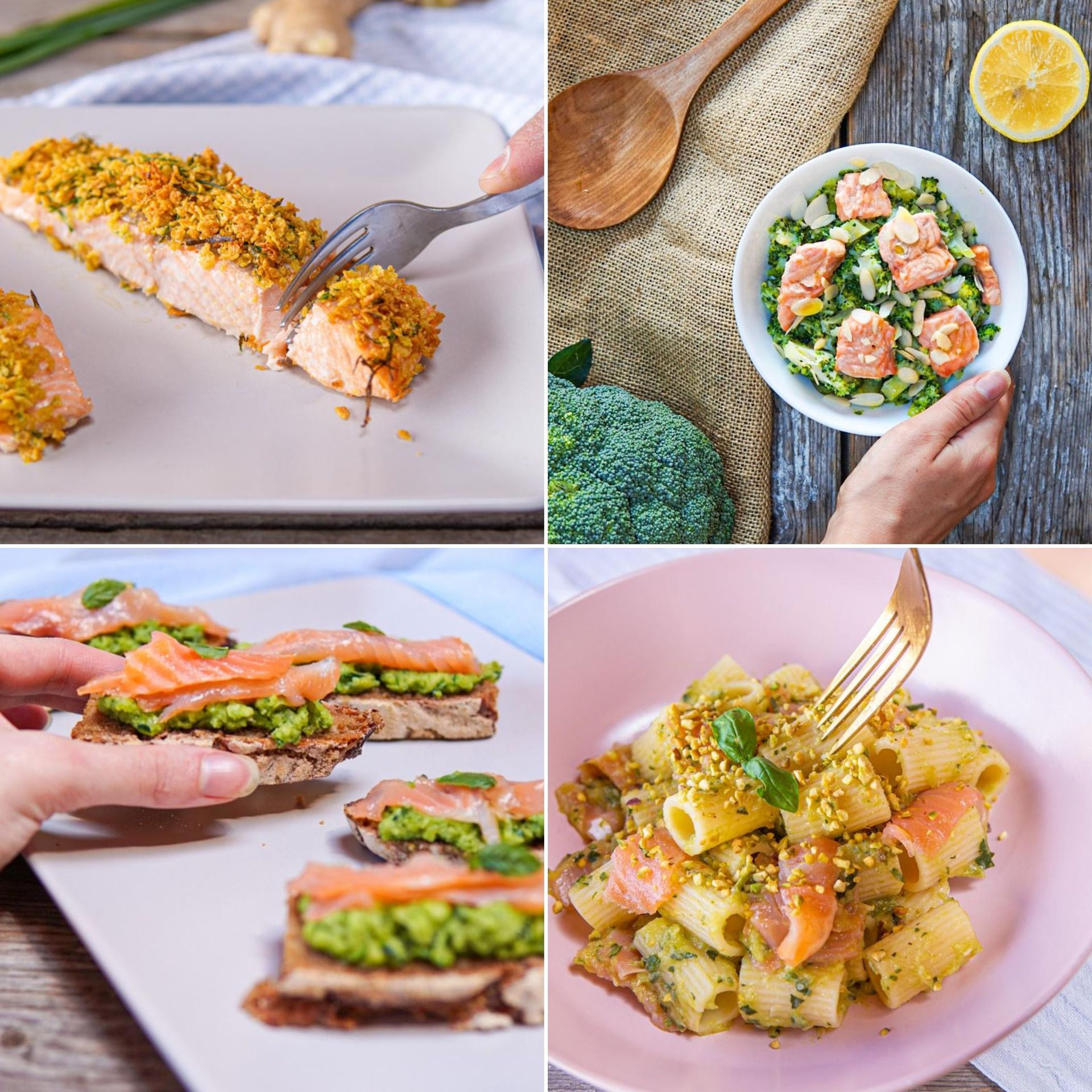 ricette con salmone