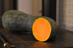 zucca napoletana