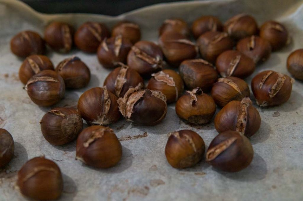 Procedimento castagne al forno