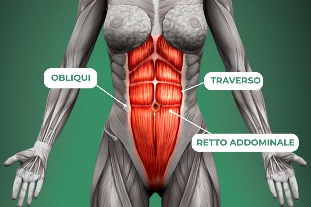 addominali scolpiti in un mese