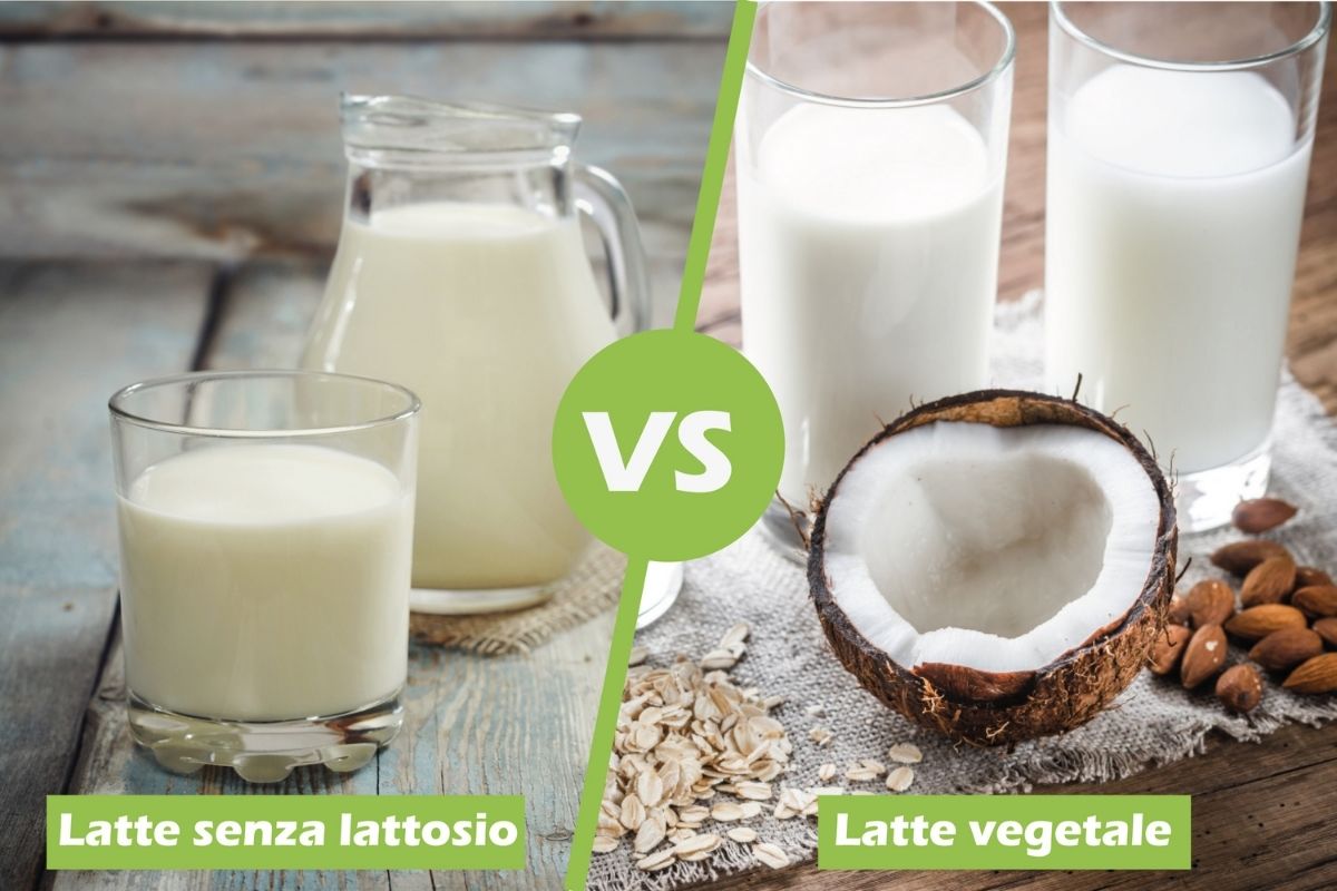 Latte senza lattosio Vs latte vegetale: quale scegliere?