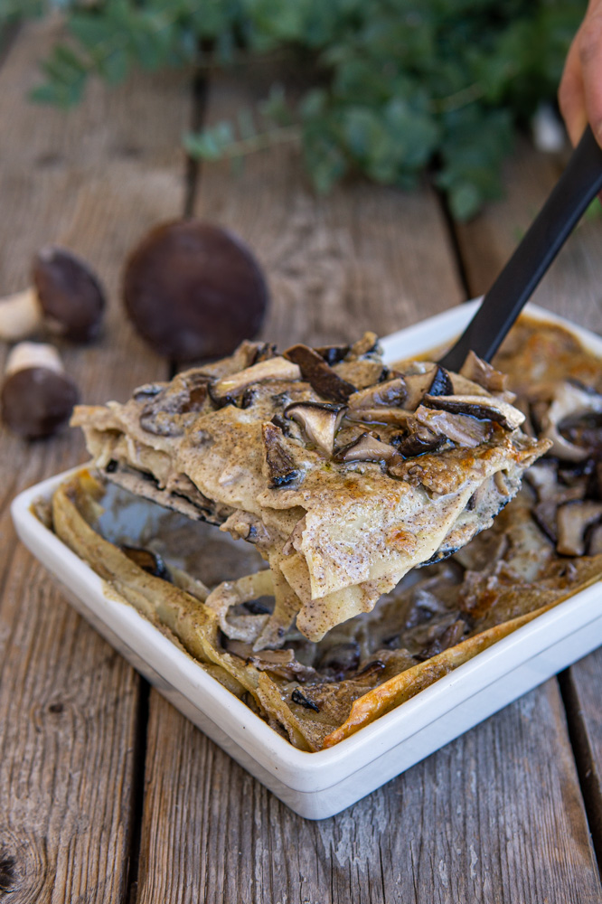 Lasagne ai funghi