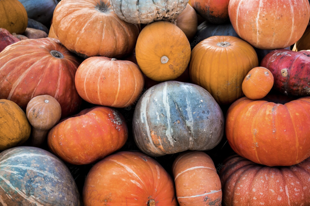 tipologie di zucca